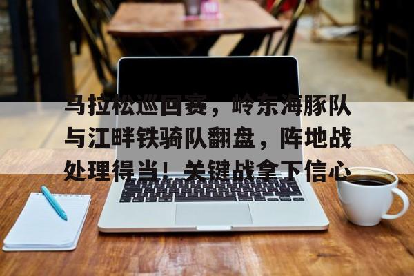 开云登录入口-关于马拉松巡回赛，岭东海豚队与江畔铁骑队翻盘，阵地战处理得当！关键战拿下信心的信息