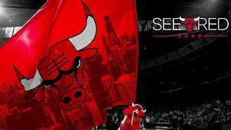 芝加哥公牛官网