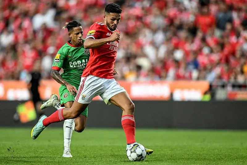 明尼苏达森林狼训练开放日，赛后回应争议引欢呼，葡超在即，年轻球员得到机会的简单介绍